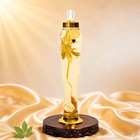 Bình Rượu Sâm Ngọc Linh Kon Tum 3L – 1 Củ Sâm Lâu Năm