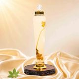 Bình Rượu Sâm Ngọc Linh Kon Tum 3L – 1 Củ Sâm Lâu Năm