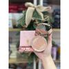 CHỈ SHIP HỎA TỐC - Bảng bắt sáng Charlotte Tilbury Pillow Talk Multi-Glow 7g