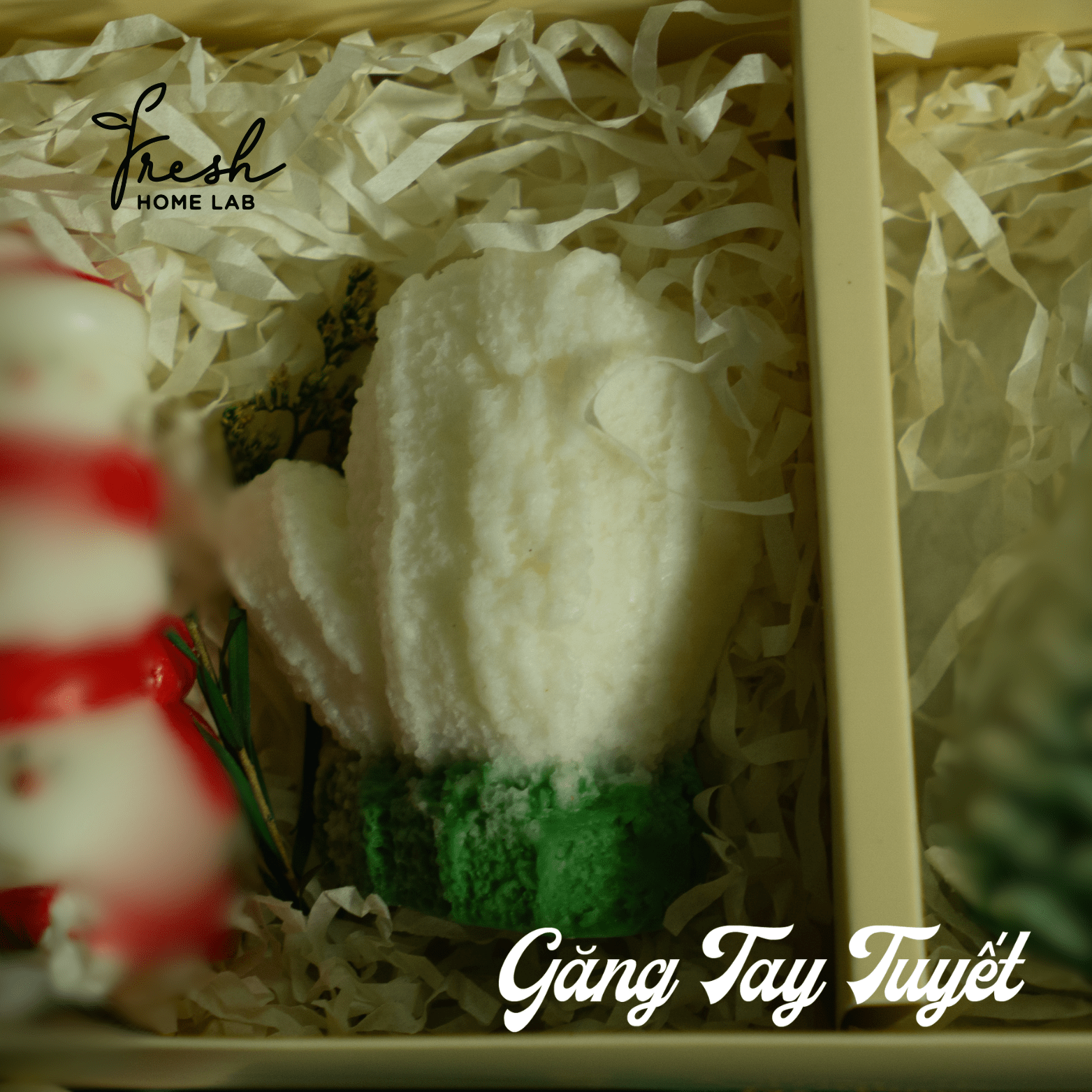  BỘ SƯU TẬP NẾN THƠM GIÁNG SINH | Nến Noel Hương Đặc Trưng Tinh Dầu Thư Giãn | Fresh Home Lab 