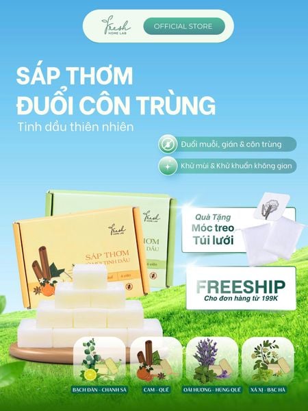  Sáp thơm tinh dầu đuổi muỗi gián côn trùng, khử mùi tủ bếp, tủ giày thiên nhiên, an toàn Fresh Home Lab 