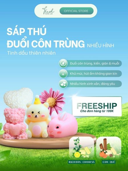  Sáp đuổi côn trùng nhiều hình, khử mùi, làm thơm phòng, hút ẩm - Fresh Home Lab 