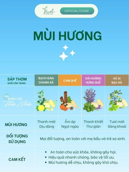  Bình Xịt Phòng Tinh Dầu Oải Hương Húng Quế, đuổi muỗi và côn trùng, khử mùi thơm phòng thiên nhiên 