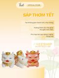 [Decor Trang Trí Tết] Sáp Thơm Tinh Dầu Thiên Nhiên - Thơm phòng, Khử mùi, Hút ẩm - Fresh Home Lab 