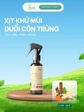  Bình Xịt Phòng Tinh Dầu Cam Quế, đuổi muỗi và côn trùng, khử mùi thơm phòng thiên nhiên 