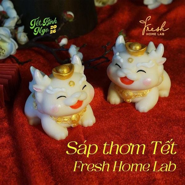  [Decor Trang Trí Tết] Sáp Thơm Tinh Dầu Thiên Nhiên - Thơm phòng, Khử mùi, Hút ẩm - Fresh Home Lab 