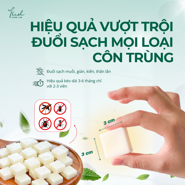  Sáp thơm tinh dầu đuổi muỗi gián côn trùng, khử mùi tủ bếp, tủ giày thiên nhiên, an toàn Fresh Home Lab 