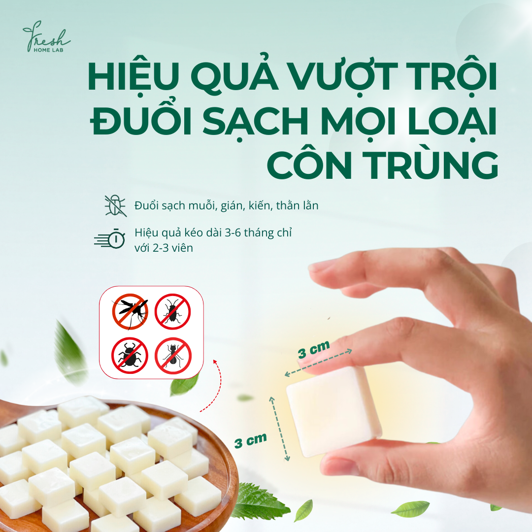  Sáp thơm tinh dầu đuổi muỗi gián côn trùng, khử mùi tủ bếp, tủ giày thiên nhiên, an toàn Fresh Home Lab 