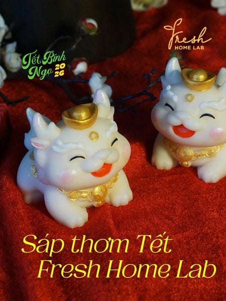  [Decor Trang Trí Tết] Sáp Thơm Tinh Dầu Thiên Nhiên - Thơm phòng, Khử mùi, Hút ẩm - Fresh Home Lab 