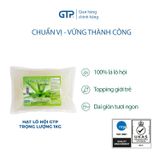 Hạt Lô Hội GTP 1kg