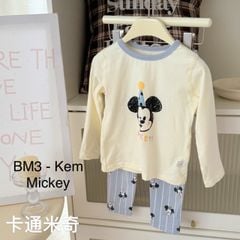 BM3 - Bộ thun dài tay Hey Honey nhiều mẫu cho bé size 90 - 150