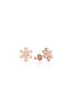  [CÓ SẴN] Bông tai hoa Moissanite vàng vàng 14k - GBT25050103 