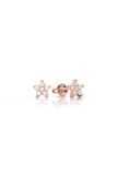  [CÓ SẴN] Bông tai moissanite hình sao vàng vàng 14k - GBT25050099 