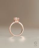  Nhẫn đính hôn vàng trắng 18k đính kim cương - Modern Crown | Gix Jewel 