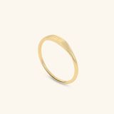  Nhẫn signet nam nữ bạc & vàng 18k - GNN25050162 | Gix Jewel 