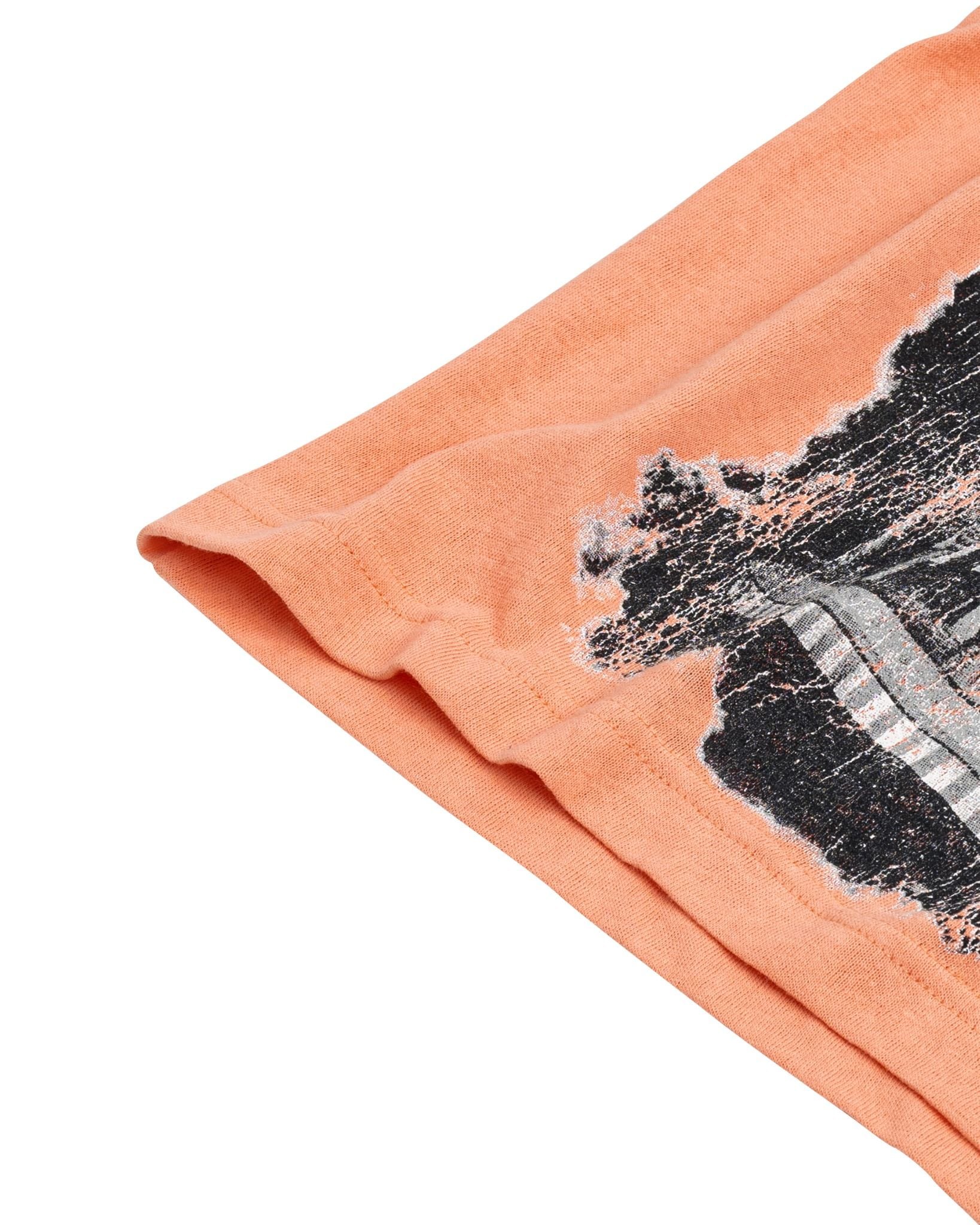 CAROUSEL TEE / EMBER