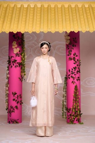 D25-11 Áo Dài Diễm Ngân