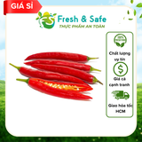  Ớt Sừng Đỏ 