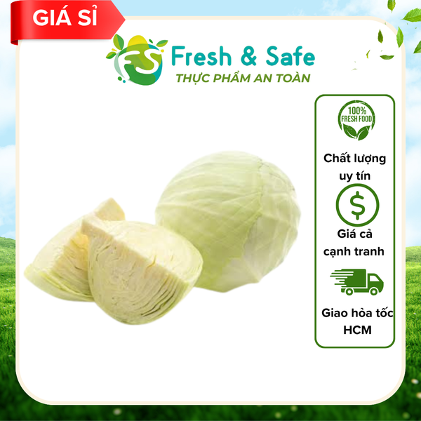 Bắp cải trắng - 3 kg (Sỉ)