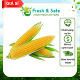  Bắp Mỹ - 1 trái 
