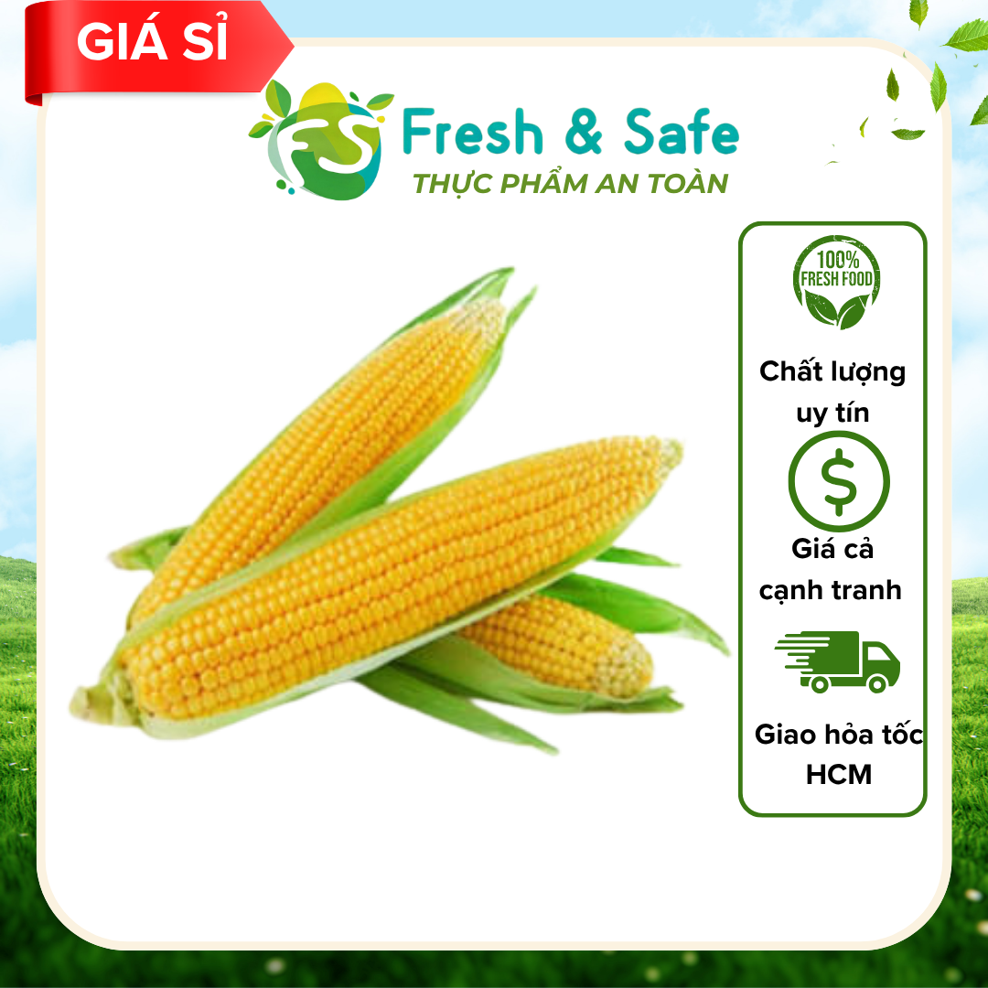  Bắp Mỹ - 1 trái 
