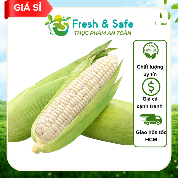  Bắp Nếp - 5 trái (Sỉ) 