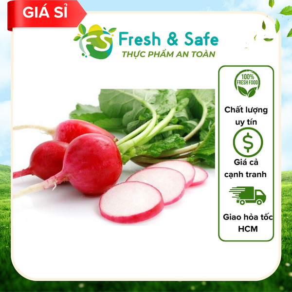  Củ cải đỏ - 1kg (Sỉ) 