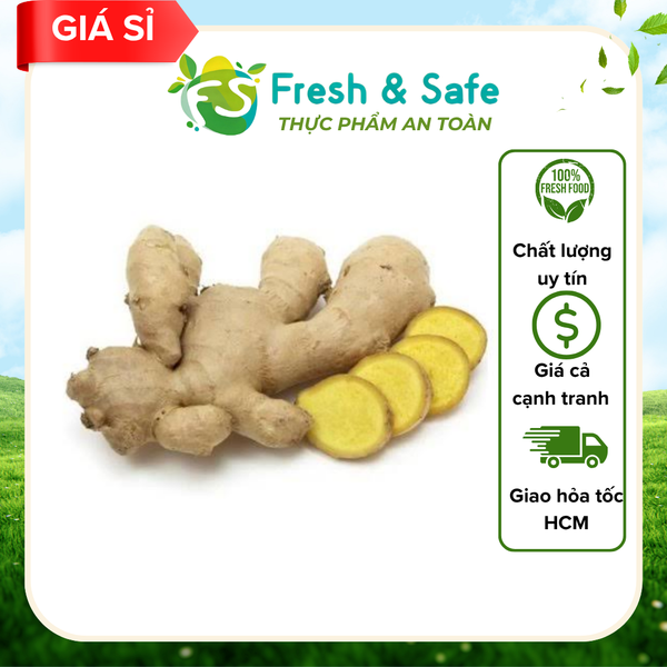  Củ gừng - 500gr (sỉ) 
