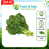  Cải xoăn/kale 