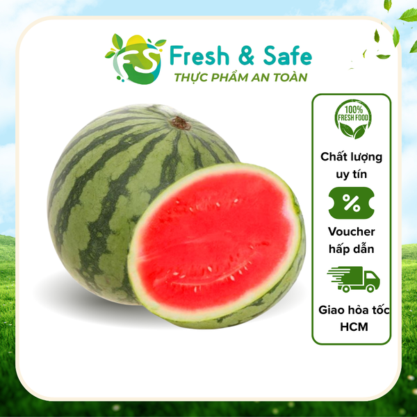Dưa hấu không hạt - trái 3.5kg