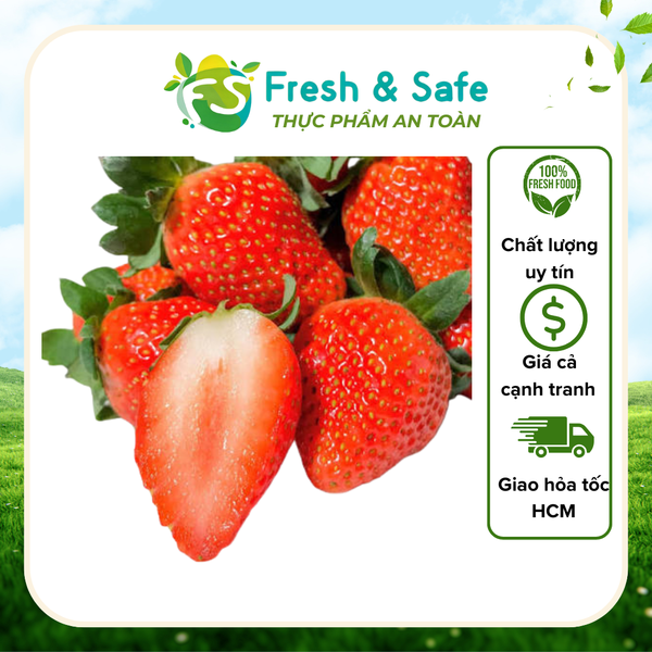 Dâu tây giống New Zealand - hộp 500g