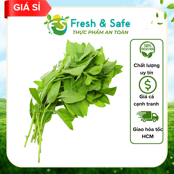 Húng cây - 500gr (sỉ)