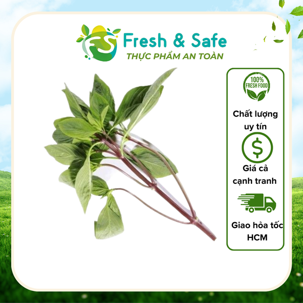 Húng quế - 100g