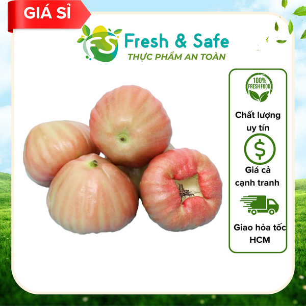  Mận đá - 2kg (Sỉ) 