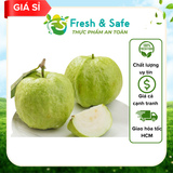  Ổi nữ hoàng không hạt 