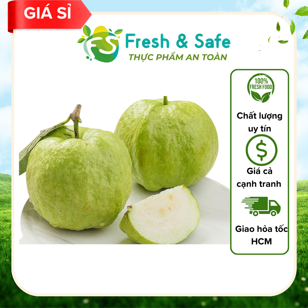  Ổi nữ hoàng không hạt 
