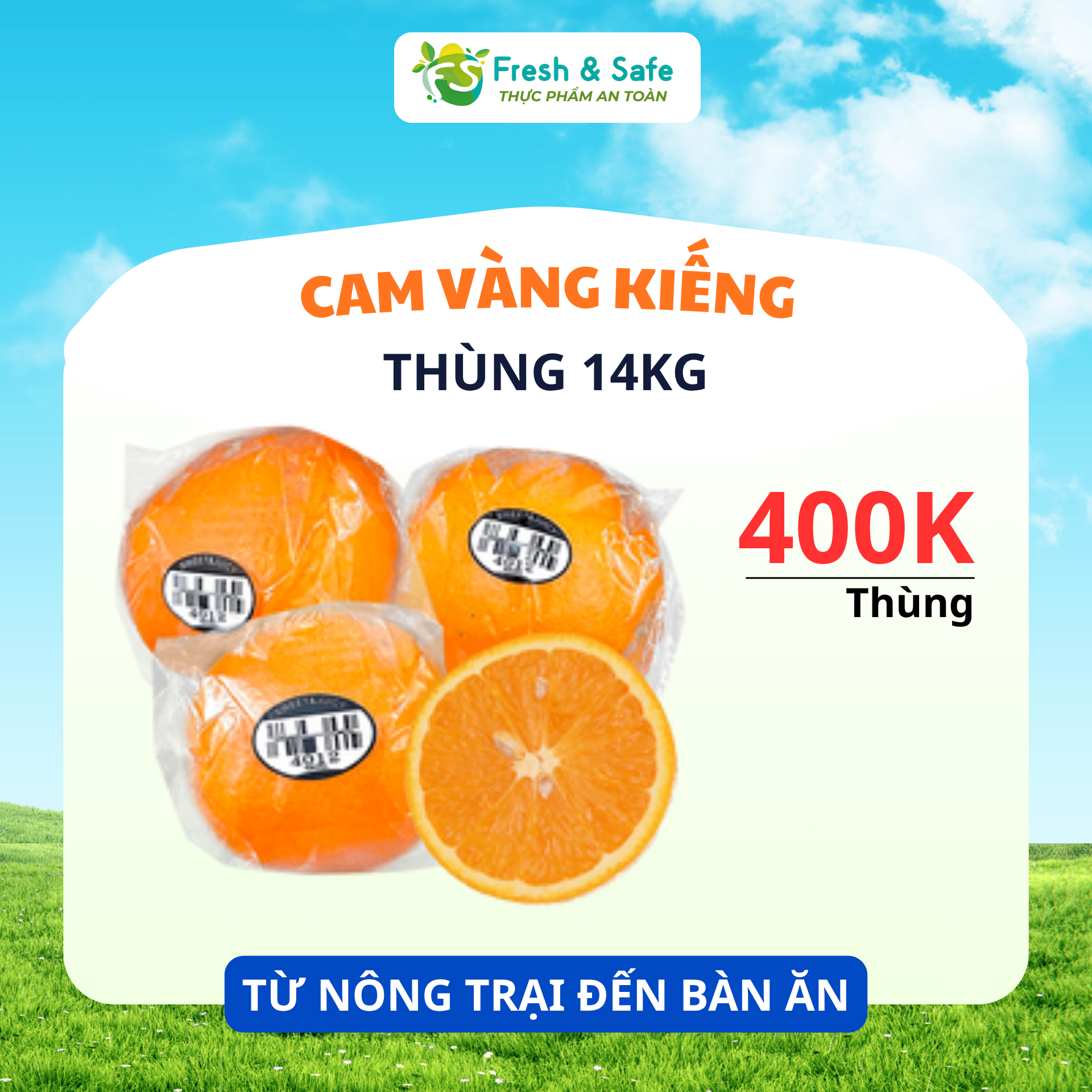  [HÀNG THÙNG GIÁ RẺ] Cam Vàng Kiếng - Thùng 14kg 