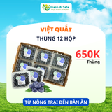  [HÀNG THÙNG GIÁ RẺ] Việt quất Hộp 125gr - Thùng 12 hộp 