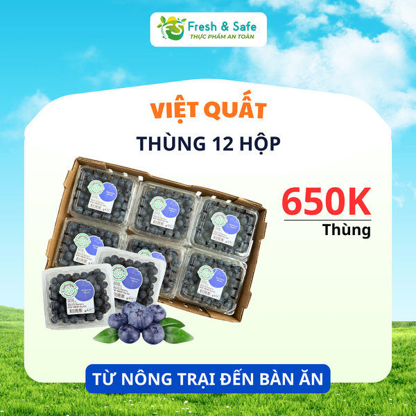  [HÀNG THÙNG GIÁ RẺ] Việt quất Hộp 125gr - Thùng 12 hộp 