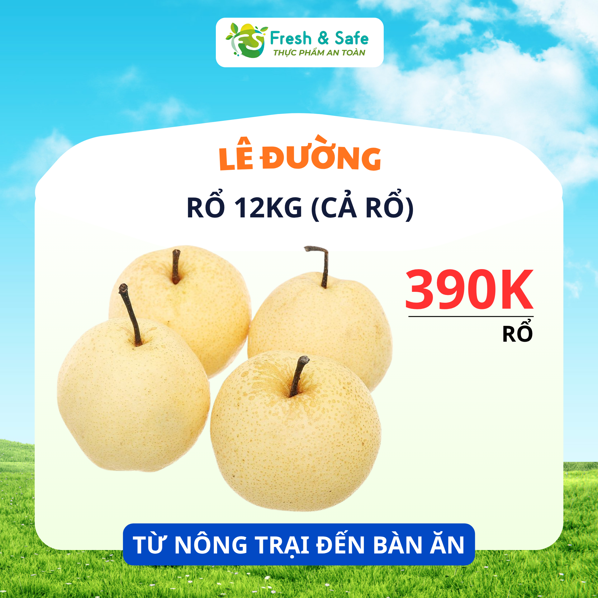  [HÀNG THÙNG GIÁ RẺ] Lê Đường - Rổ 12kg, luôn rổ 