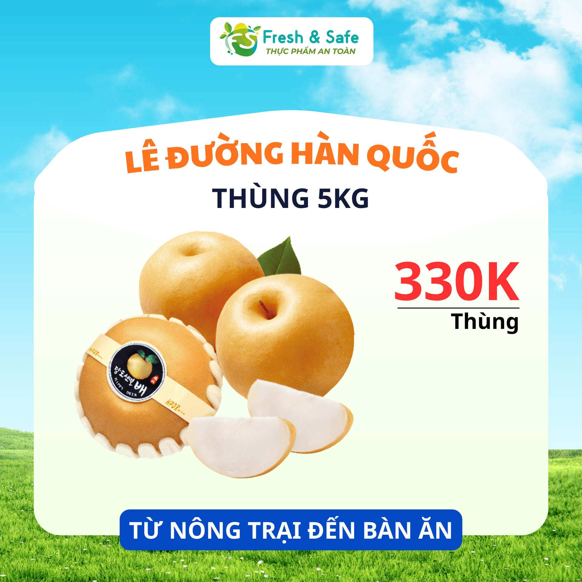  [HÀNG THÙNG GIÁ RẺ] Lê Hàn Quốc - Thùng 5kg 