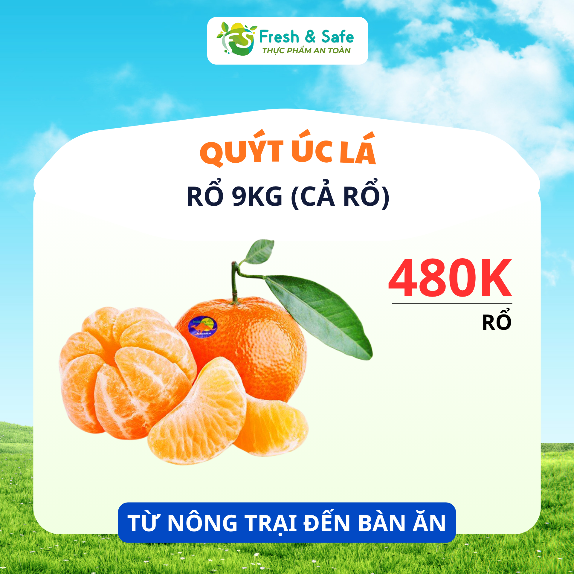  [HÀNG THÙNG GIÁ RẺ] Quýt Úc Lá - Rổ 9kg, luôn rổ 