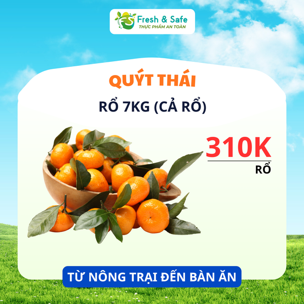  [HÀNG THÙNG GIÁ RẺ] Quýt Thái - Rổ 7kg, luôn rổ 