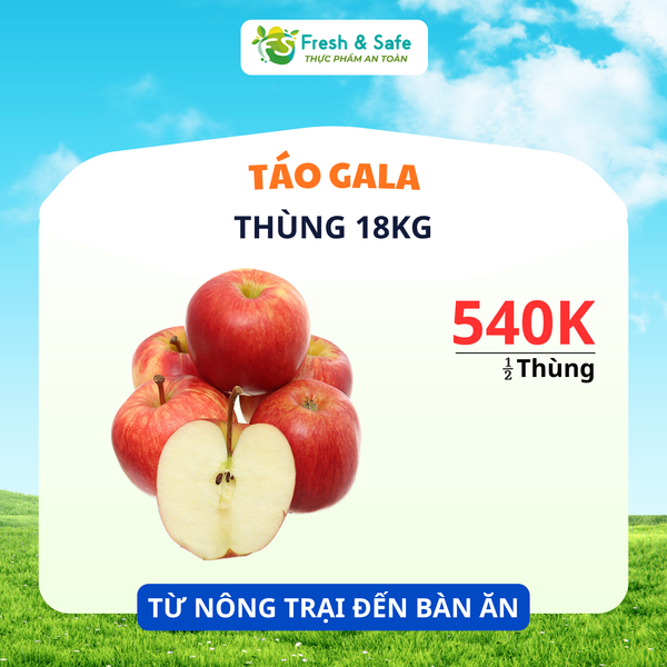  [HÀNG THÙNG GIÁ RẺ] Táo Gala - Nửa thùng 9kg 