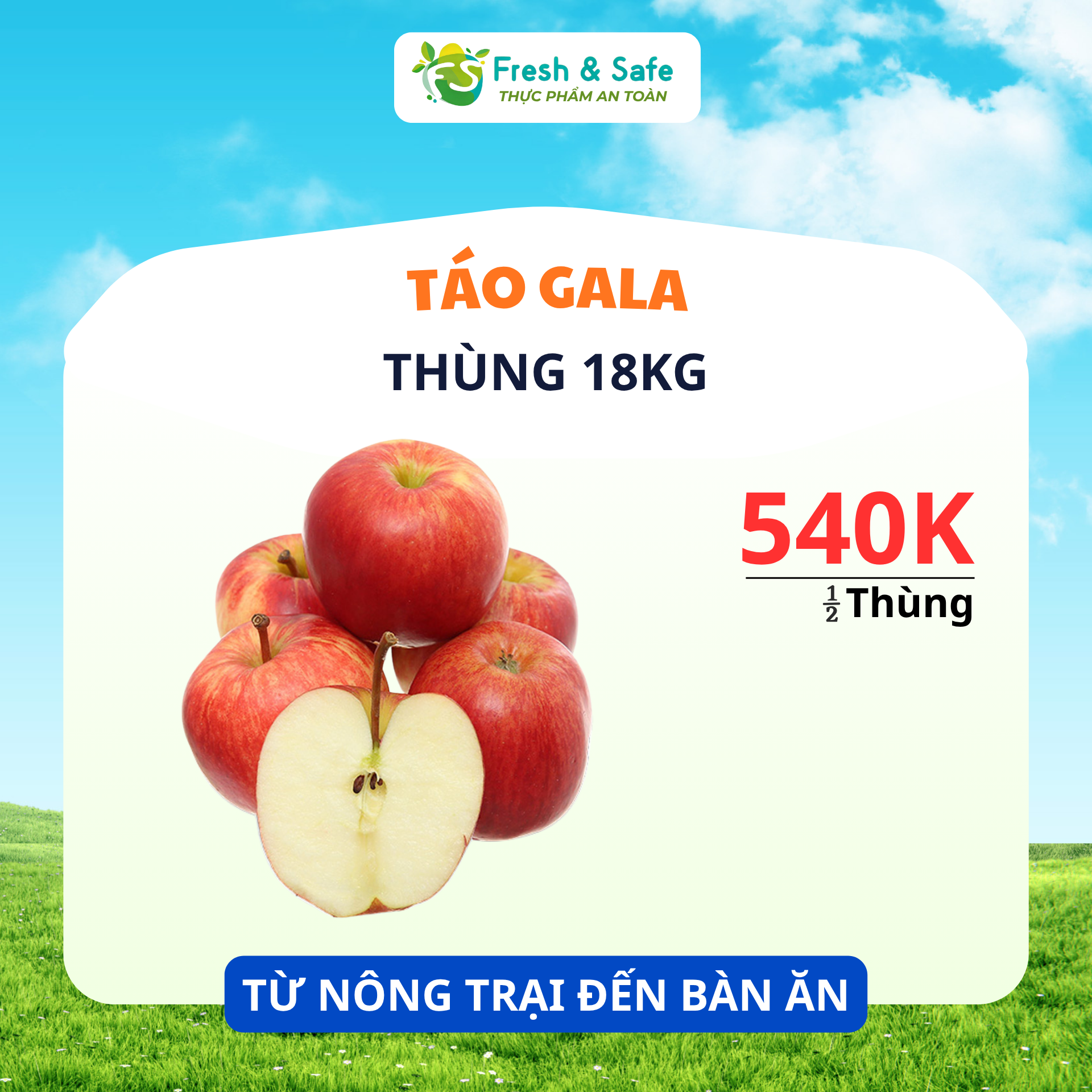 [HÀNG THÙNG GIÁ RẺ] Táo Gala - Nửa thùng 9kg 