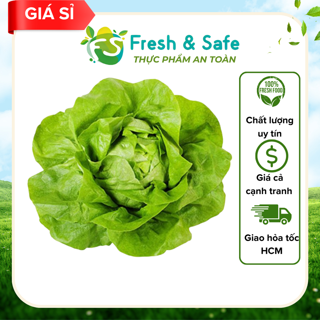  Xà lách búp mỡ - 1kg (Sỉ) 