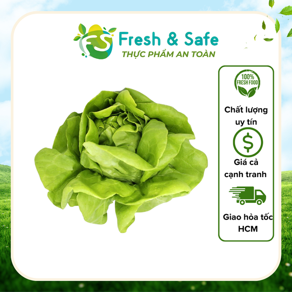 Xà lách búp mỡ - 300g