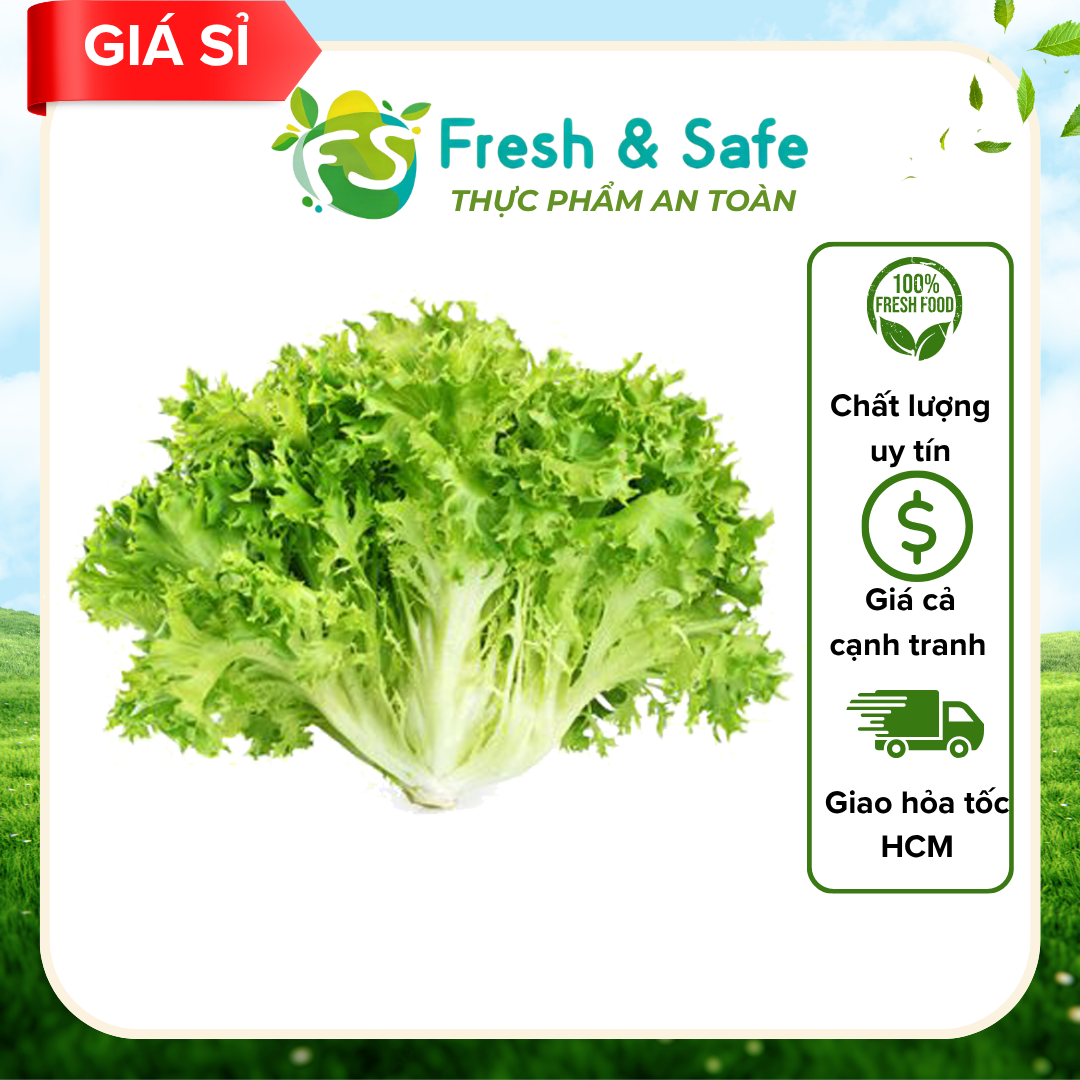  Xà lách Carol - 1kg (Sỉ) 