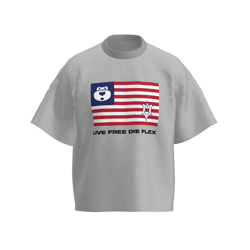  UMS FLAG TEE DUST GREY 