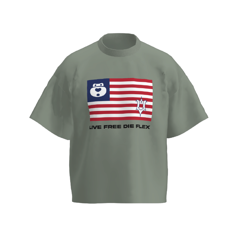  UMS FLAG TEE CEMENT GREY 